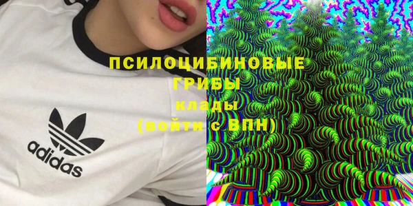 соль курить ск Алзамай