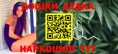 mdpv Новодвинск