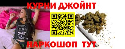 Альфа ПВП Новозыбков