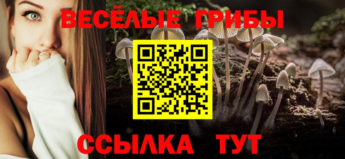 Псилоцибиновые грибы мухоморы Гусь-Хрустальный